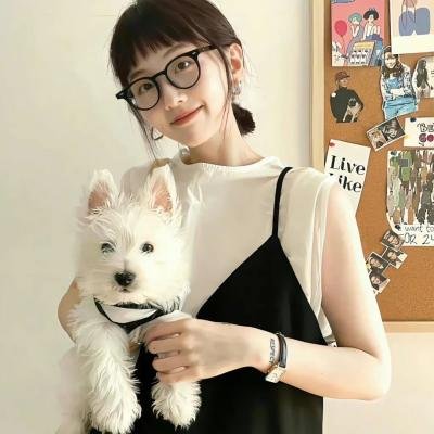 以规则之名